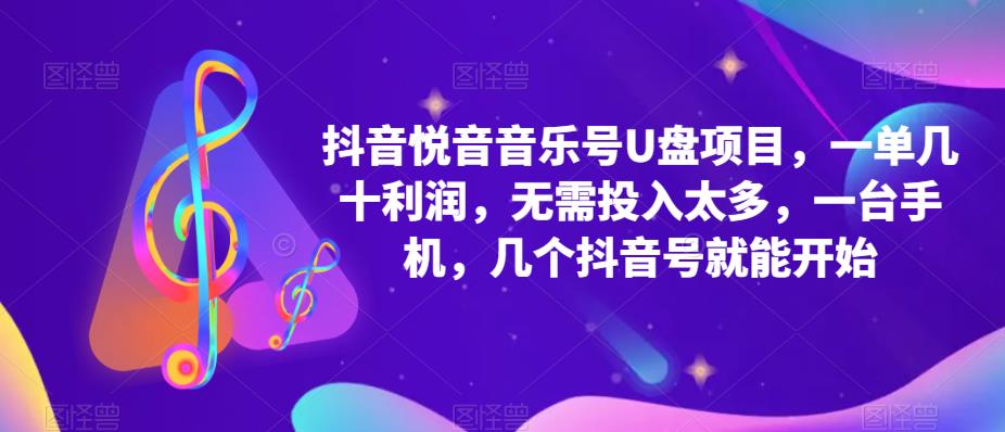 抖音音乐号U盘项目 一单几十利润 无需投入太多 一台手机 几个抖音号就开始-颜夕资源网-第15张图片