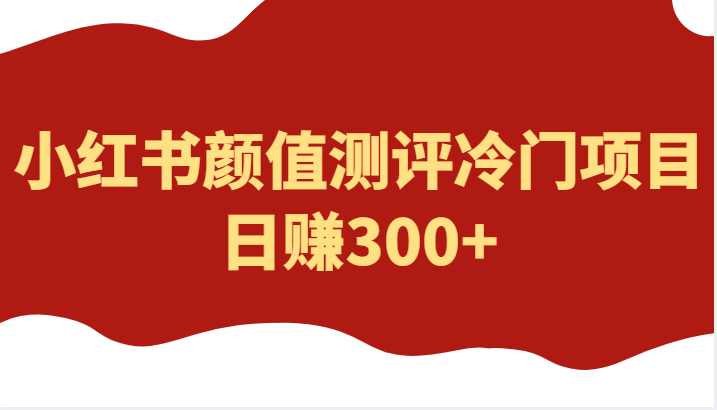 外面4980的项目，小红书颜值测评冷门项目，日赚300+-颜夕资源网-第15张图片