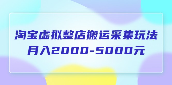 淘宝虚拟整店搬运采集玩法分享课：月入2000-5000元-颜夕资源网-第15张图片