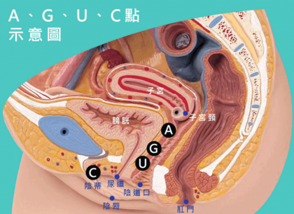 妹子的“G、A、C、U”点都在哪里？有什么作用？-颜夕资源网-第17张图片