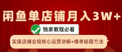 闲鱼单店铺月入3W+实操展示，爆单核心秘籍，一学就会-颜夕资源网-第17张图片