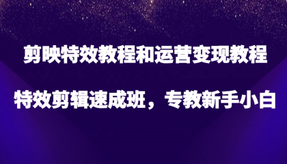 剪映特效教程和运营变现教程，特效剪辑速成班，专教新手小白-颜夕资源网-第17张图片