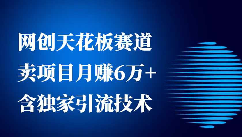 网创天花板赛道，卖项目月赚6万+，含独家引流技术（共26节课）-倒腾怪分享社-第18张图片