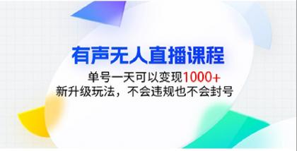 有声无人直播课程，单号一天可以变现1000+，新升级玩法，不会违规也不会封号-颜夕资源网-第15张图片