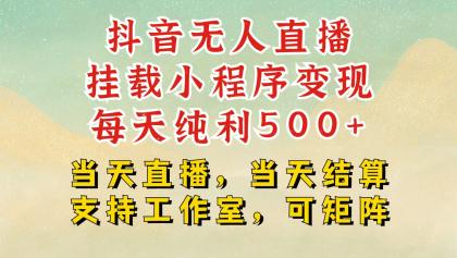 抖音无人挂机项目，轻松日入500+,挂载小程序玩法，不违规不封号，有号的一定挂起来-颜夕资源网-第15张图片