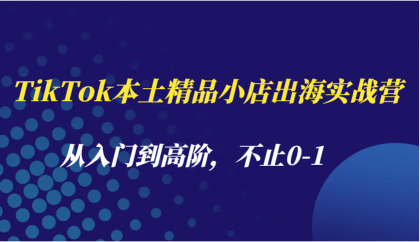 TikTok本土精品小店出海实战营，从入门到高阶，不止0-1-五伯资源网