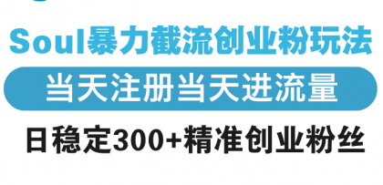 Soul暴力截流创业粉玩法，当天注册当天进流量，日稳定300+精准创业粉丝