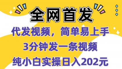 代发视频，简单易上手 3分钟发一条视频 纯小白实操日入202元-颜夕资源网-第15张图片