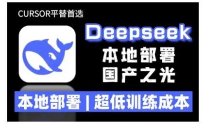 2025年deepseek R1 大型模型当地部署应用(文档 实例教程)本地部署，极低练习成本费-颜夕资源网-第10张图片