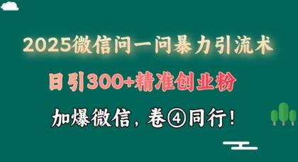 2025最新微信问一问暴力行为引流术揭密，日引300 自主创业粉，单日转现四位数-颜夕资源网-第10张图片